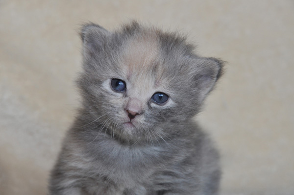 das muss ich mir mal genauer ansehen.jpg